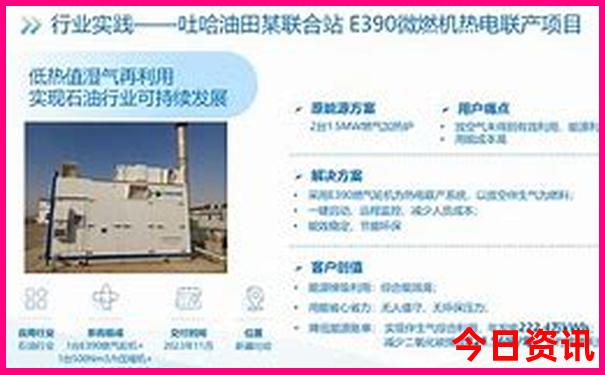 新澳门历史记录查询